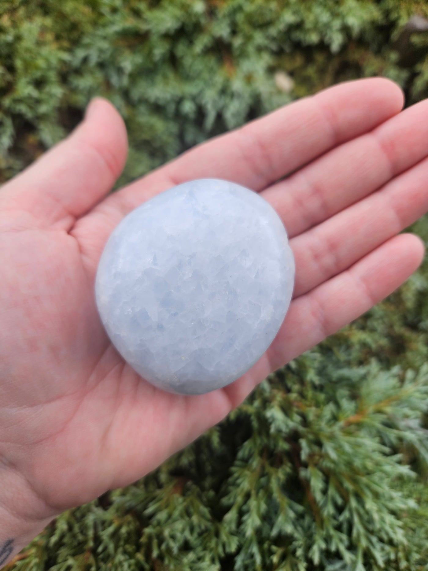 SC - Blue Calcite Palm