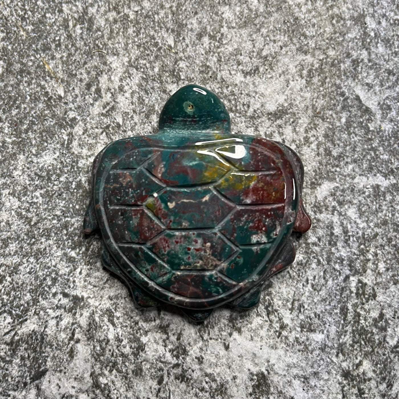 Ocean Jasper Turtle #3